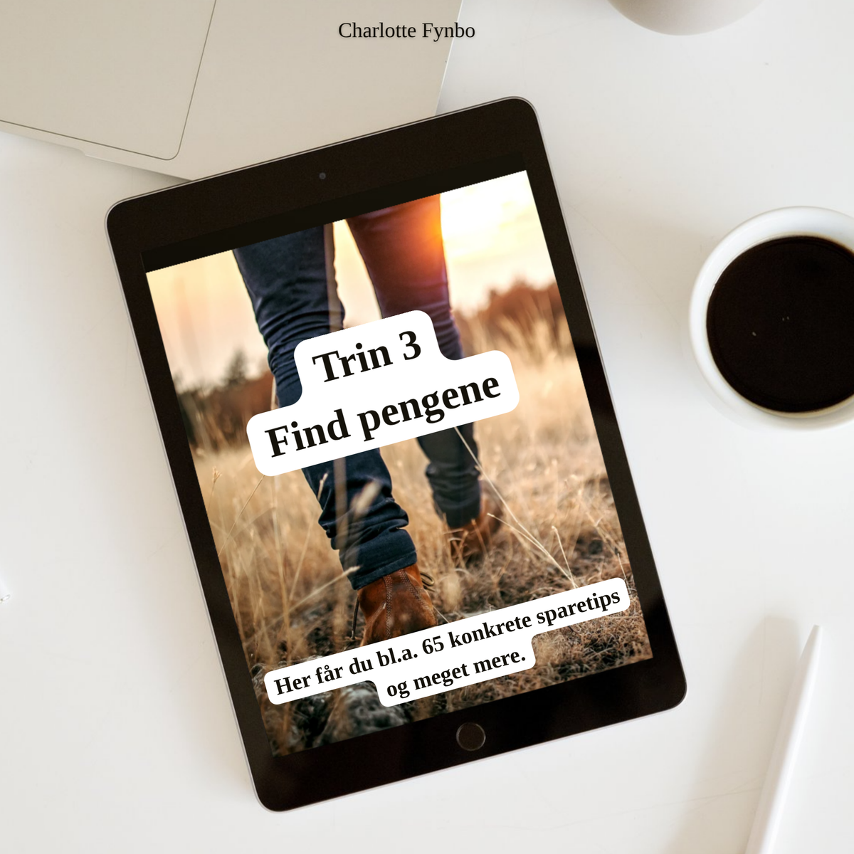 Trin 3 - Find pengene